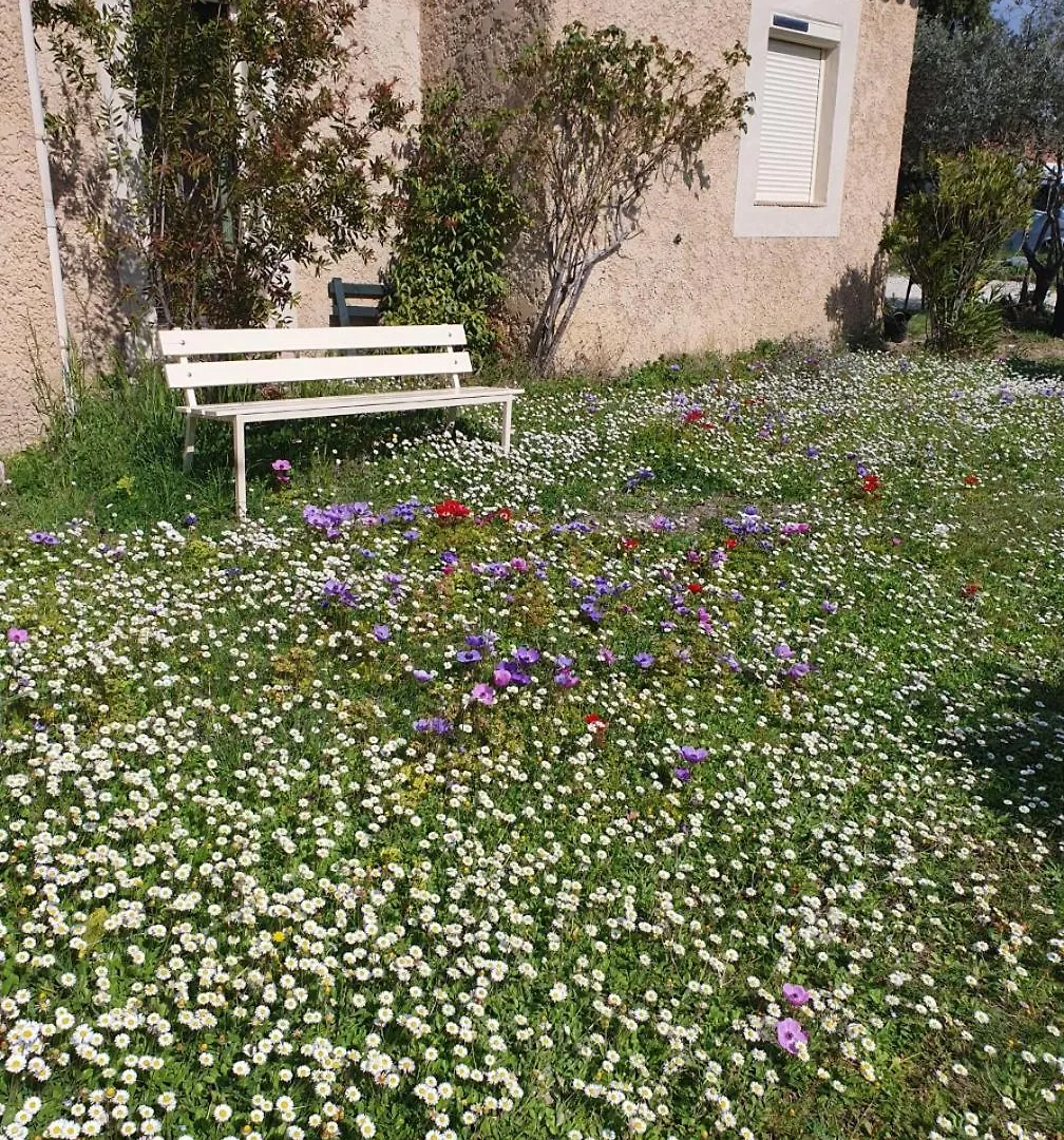 Chambre Dans Petit Havre De Paix Avec Piscine Chauffee Au Coeur Du Luberon Gargas  Gargas (Vaucluse)